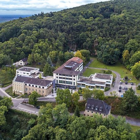 Kloster Neustadt Neustadt an der Weinstraße Dış mekan fotoğraf
