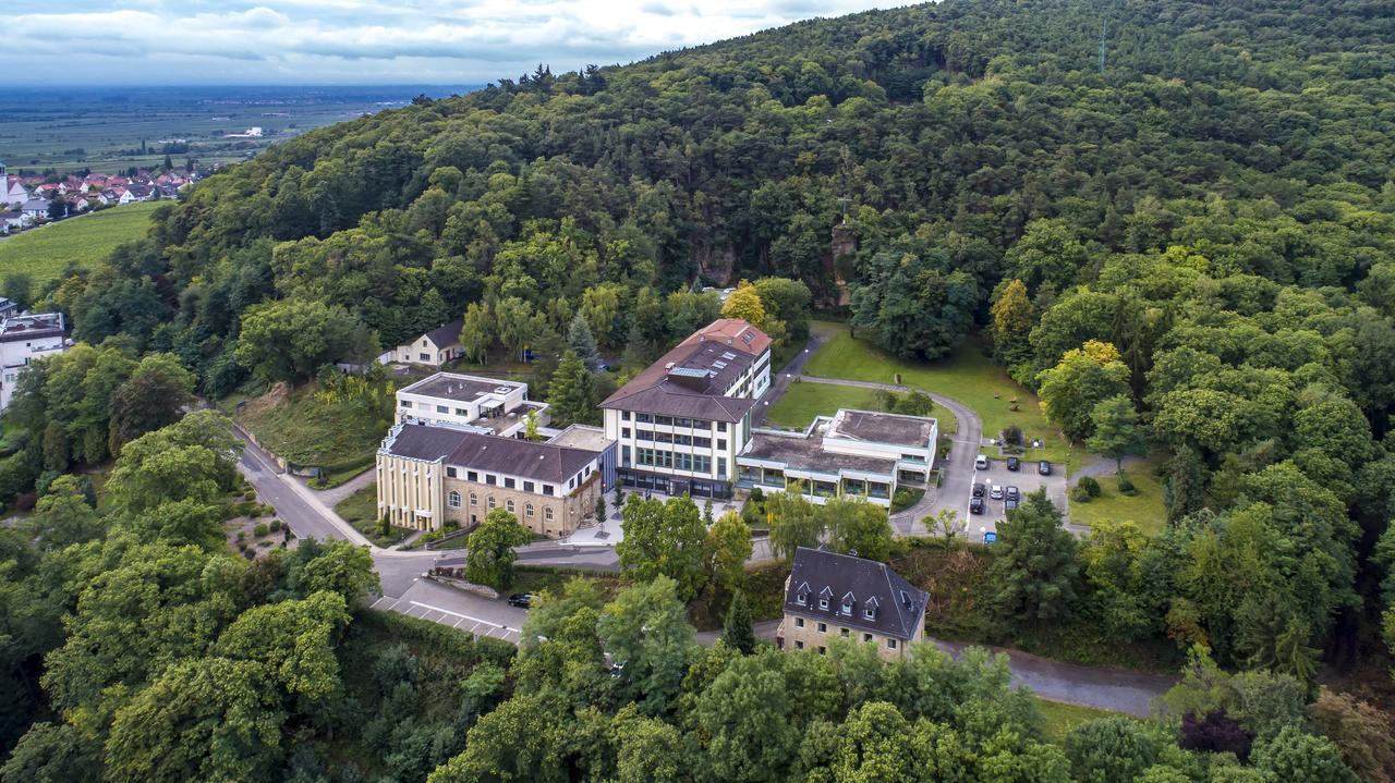 Kloster Neustadt Neustadt an der Weinstraße Dış mekan fotoğraf